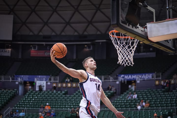 Scouting Report: Gonzaga F Pavle Stošić